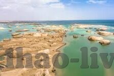 大赢家足球比分直播比分-揭秘大赢家足球比分直播，一场数据与激情的完美碰撞