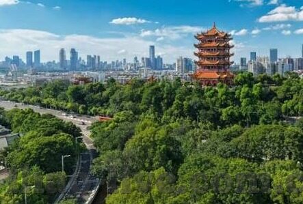 竞猜足球比分直播360-竞猜足球比分直播360，一场融合激情与理性的数字盛宴